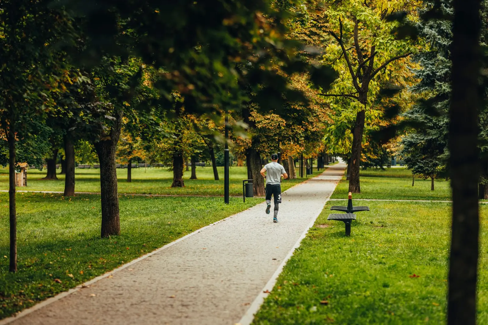 Running route through Košice City Park with gravel paths and green spaces